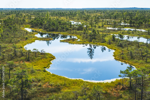 Swamp in Latvia
