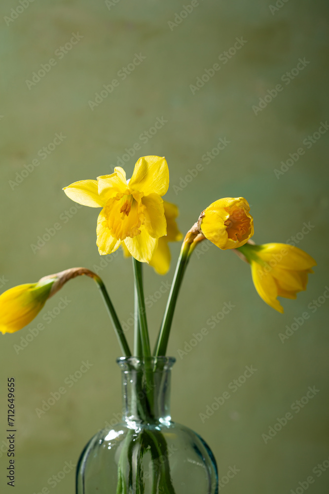 Spring flowers yellow daffodils in vase Spring flowers yellow daffodils in vase
