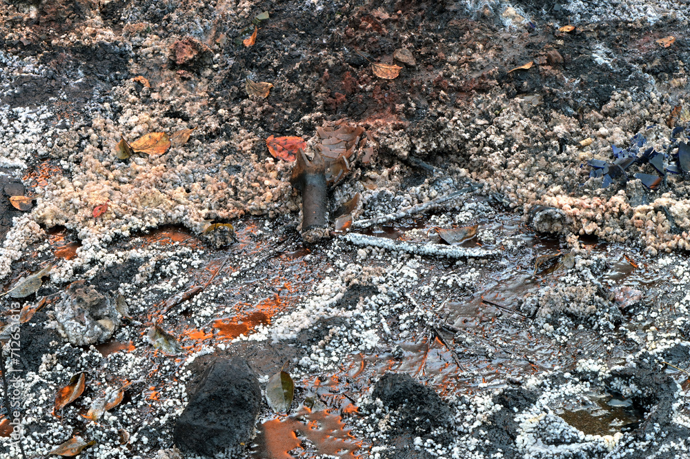 Oil-contaminated soil with deposits of salt and ozokerite on place of the old ozokerite mine. Oil-contaminated soil with deposits of salt and ozokerite on place of the old ozokerite mine.