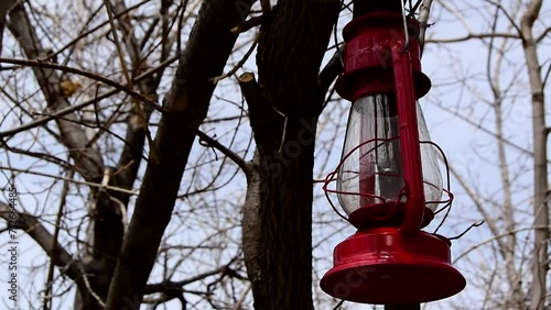 Red lantern in the tree. Overcast skies on a cool autumn day sitting around doing nothing. Calm breeze gentle moves the lantern here In Lusk, Wyoming.  photo