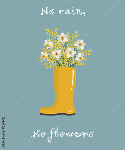 Mimosa and daffodils in yellow rubber boot. No rain, no flowers concept. Yellow and white flowers with leaves. Spring flowers. Floral composition. Vector illustration on blue background