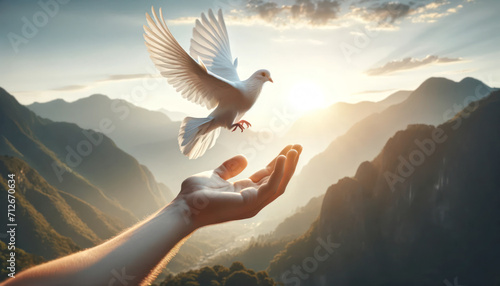 white pigeon flight to land on a human hand with sunlight and mountainous background  photo