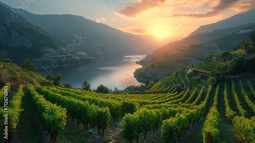 Beautiful landscape with mountains and river in a wine region  sunshine bright summer