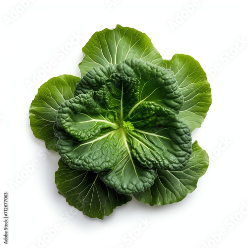 Photograph of collard, top down view, wite background 