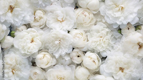 seamless background of white peonies in buds  ideal for use as a background or texture in a modern style  when viewed from above.