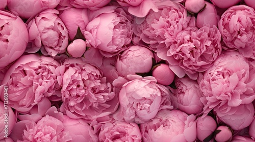 seamless background, charming background of pink peonies or peony roses, ideal for use as a background or texture, when viewed from above, top view