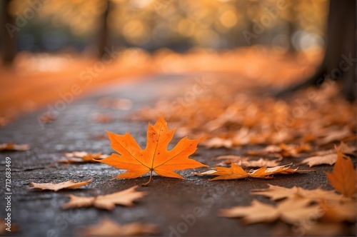 Orange maple leaves on the ground with a bokeh effect defocused background