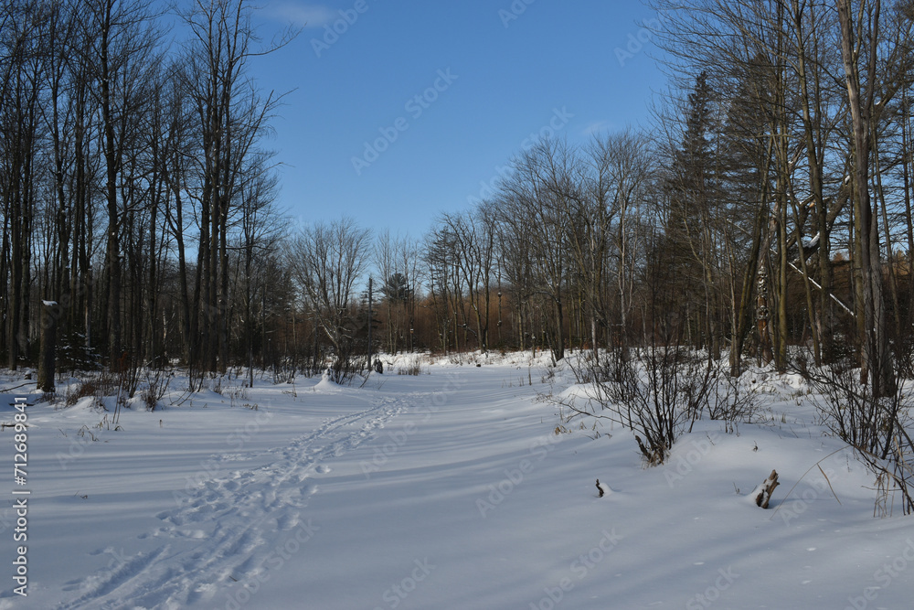 La Plaine 18 Janvier 2024