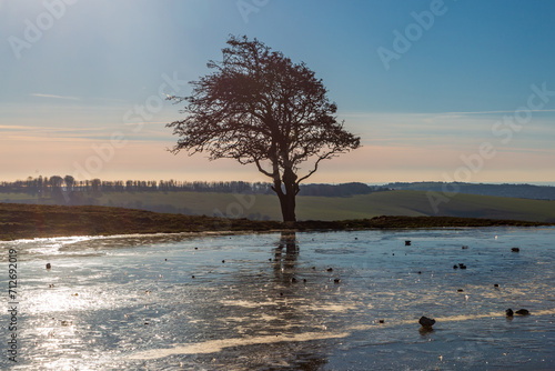 A frozen dew pond on Ditchling Beacon on a sunny but Cold January day