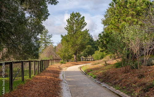 Park trail and houses in the city of Scotts Valley CA.