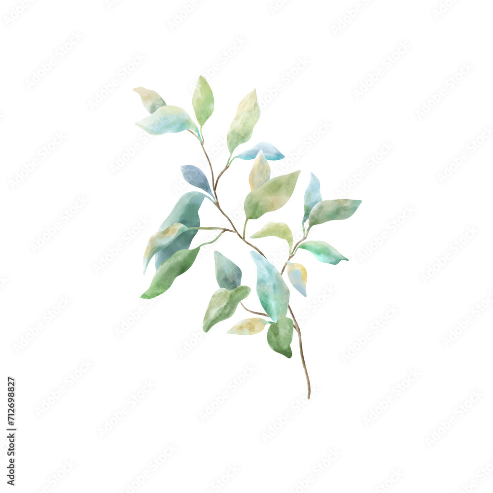 Watercolor Green Leaves Branch Watercolor Green Leaves Branch