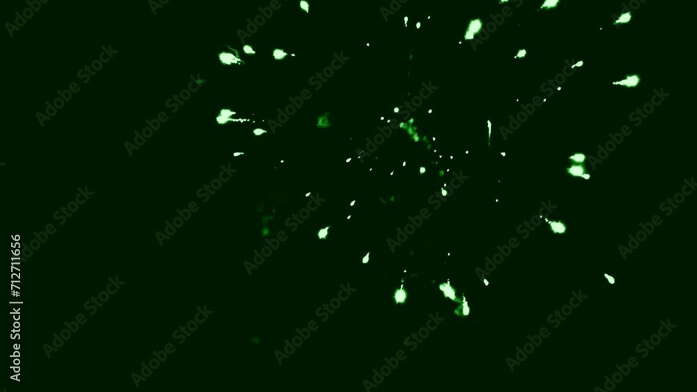 Green fireworks in the night sky. Flashes and shots of a large fireworks display. Green fireworks in the night sky. Flashes and shots of a large fireworks display.