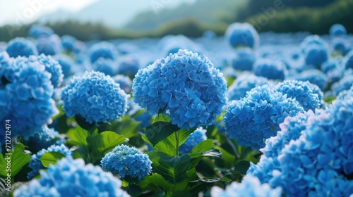 blue hydrangeas, forming a cool and refreshing floral backdrop generative ai photo