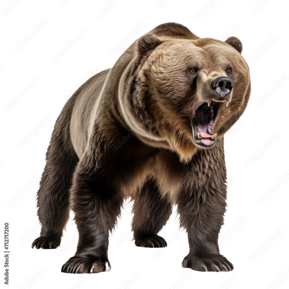 Obraz premium Majestic Grizzly Bear Roaring - Isolated on Transparent Background
