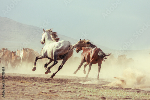 Landscape of wild horses running at sunset with dust in background.
