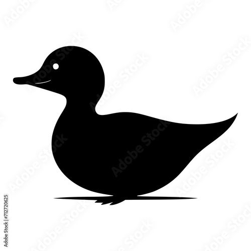 duck illustration