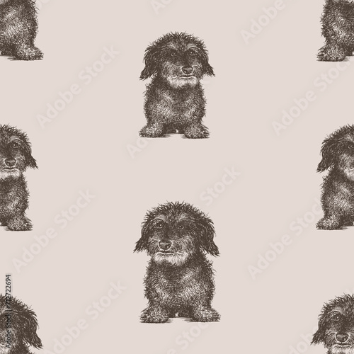 Seamless vector pattern of sketches cute cute small shaggy lap dog sitting and looking, background for paper,wallpaper