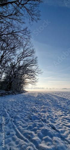 sunset in the snow