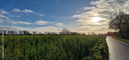Feldweg