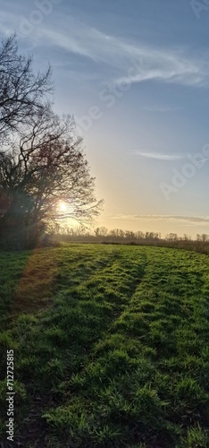 Der Weg duechs Gras