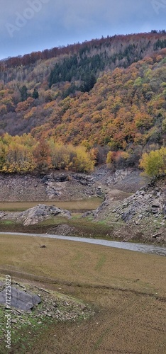 Flussbett
