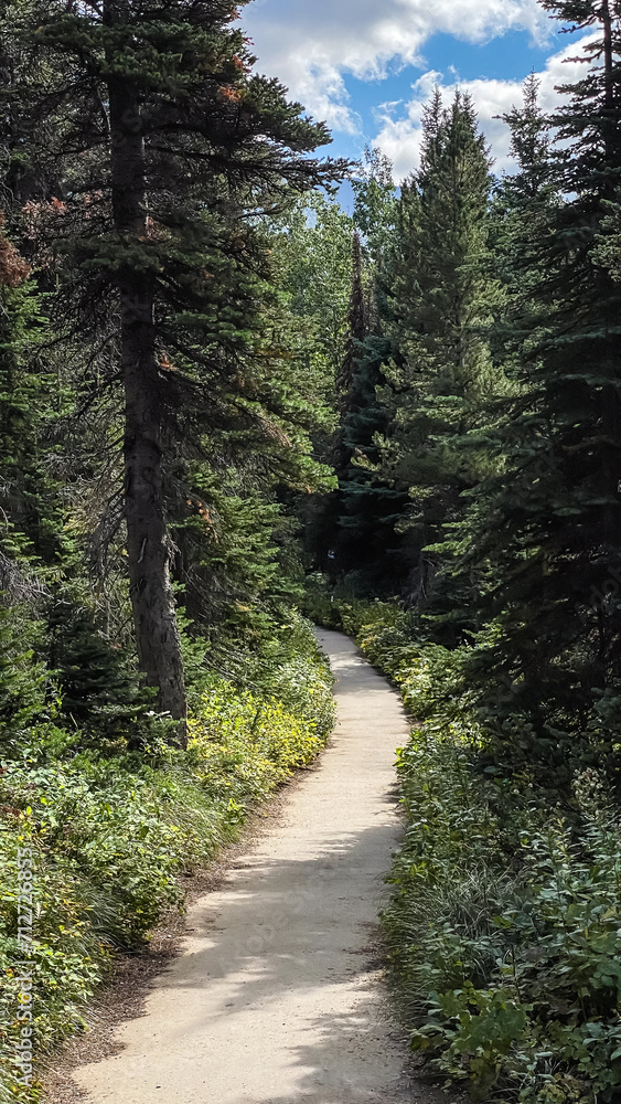 Walking Trail Around Swiftcurrent Lake of Many Glacier in Glacier National Park Walking Trail Around Swiftcurrent Lake of Many Glacier in Glacier National Park