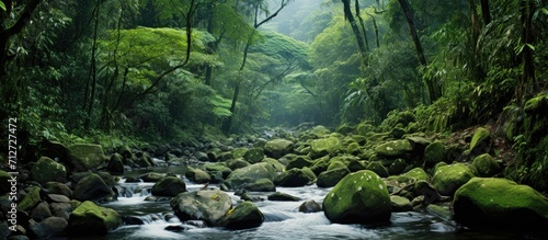 Stream in montane rainforest with high biodiversity in southern Ecuador at 1,900m elevation. photo