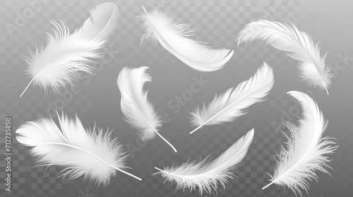 Vector white feathers collection, set of different falling fluffy twirled feathers, isolated on transparent background. Realistic style, vector 3d illustration
