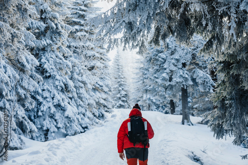 Hiker in winter forest in snowy mountains on a trail - forest path in winter photo