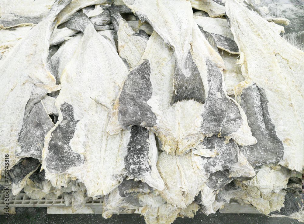 Bacalhau Peixe Seco Da Esp cie Gadus Morhua Bacalau Do Atl ntico bacalhau-peixe-seco-da-esp-cie-gadus-morhua-bacalau-do-atl-ntico