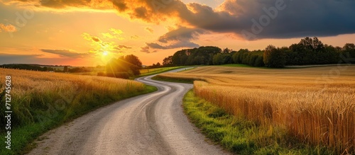 A sunset road winding through wheat and rye fields. photo