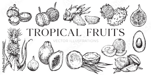 Tropical fruits illustrations, fruits drawings, coconut, collection, set, pineapple, avocado
