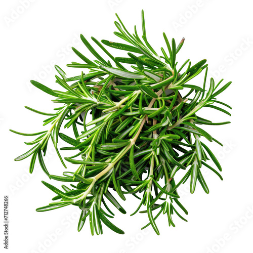 Fresh Rosemary Herb PNG Transparent Background