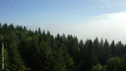 Aerial Forward Scenic View Of Green Fire Trees On Mountains Against Cloudy Sky - Savoie, France photo