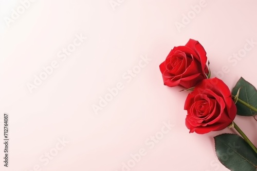 A couple gift roses on valentine day. copy space for advertiser  Valentine s day and love concept