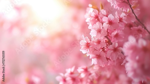 cherry blossoms in full bloom, creating a soft and dreamy atmosphere generative ai