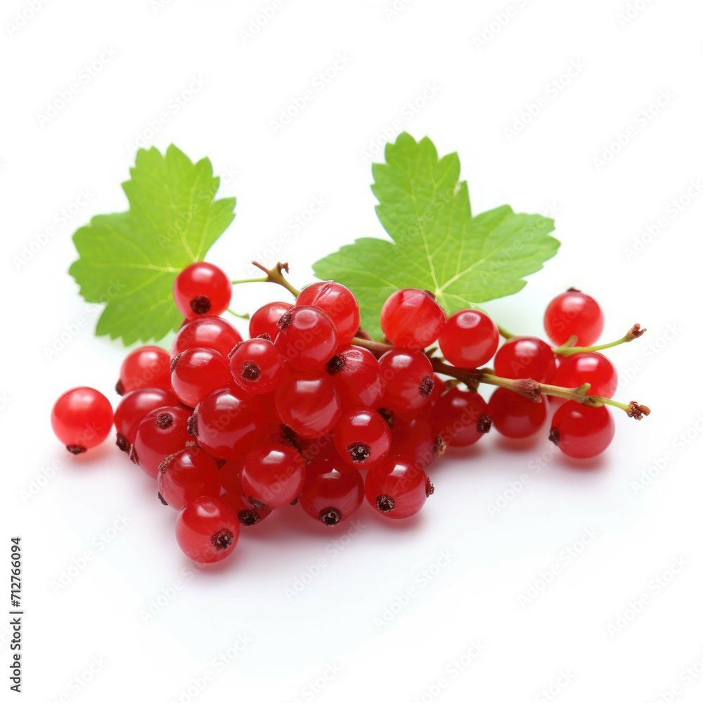 Currant isolated on white background Currant isolated on white background