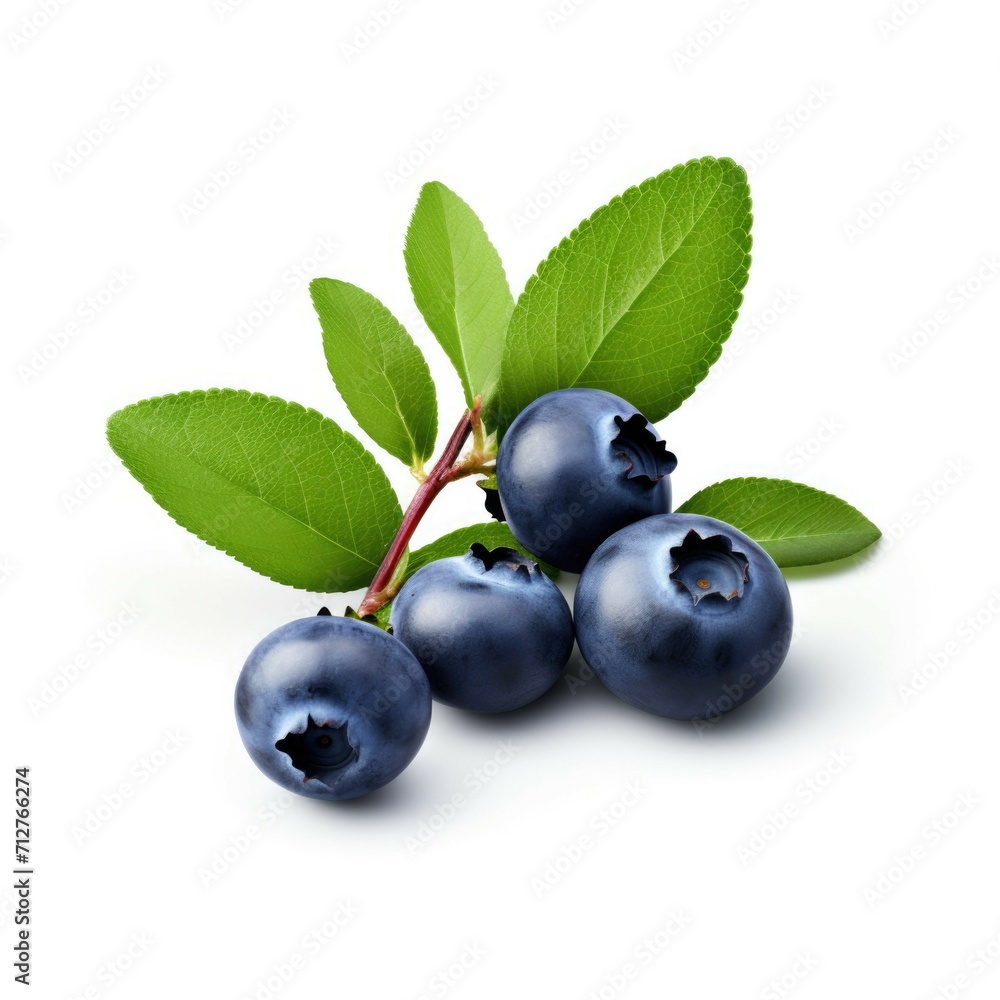 Bilberries isolated on white background Bilberries isolated on white background