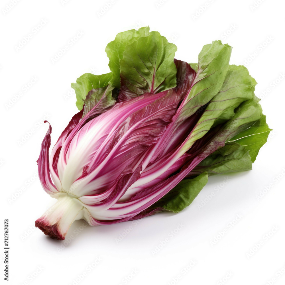 Radicchio isolated on white background Radicchio isolated on white background