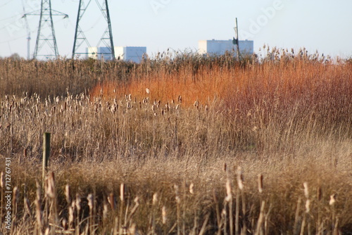 Hinkley Point Power Station 