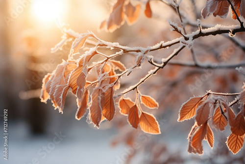 Frost on dried leaves of a tree in the forest at dawn in the cold season. Generated by artificial intelligence