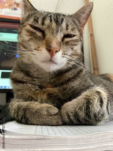 Obraz na plátně Felix Adormilado