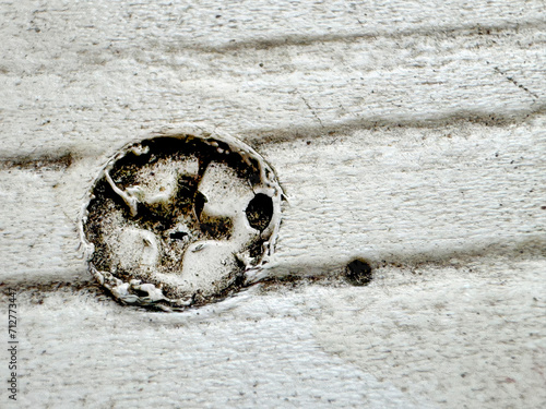 Photography phillips screw closeup on painted wood