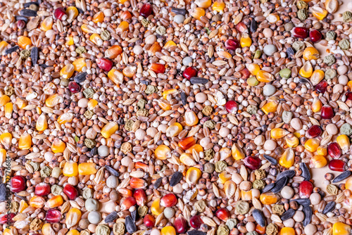 Assorted bird seed, feed for racing pigeons
