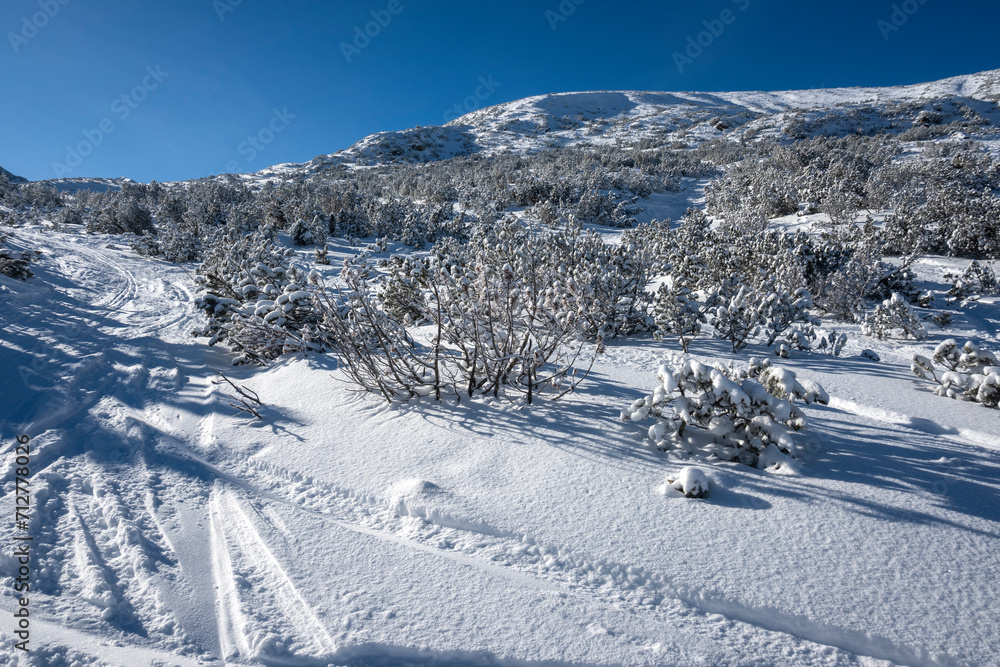 Winter view of Rila mountain near Musala peak, Bulgaria