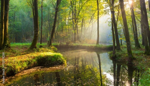 beautiful green forest at the morning