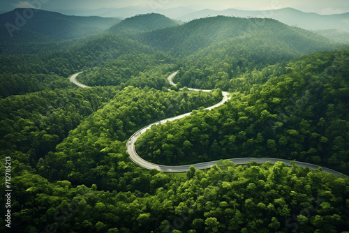 Aerial View of Winding Road through Lush Forest