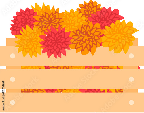 Colorful autumn flowers in wooden crate. Fall floral arrangement vector illustration. Seasonal decoration and Thanksgiving decor.