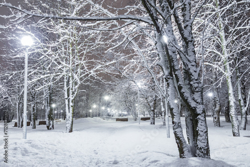 Winter trees in snow and frost after night evening snowfall. Town park road alley with street flashlight light and tree covered snow