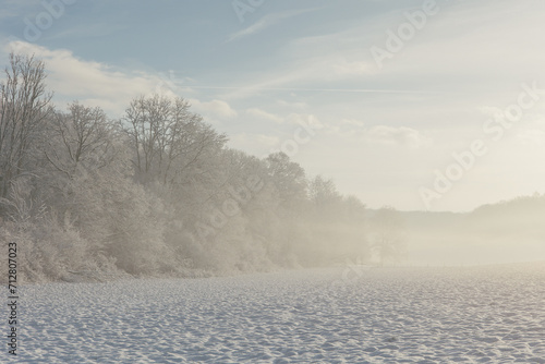 Fairy snowy forest in fog in beautiful winter at sunrise.